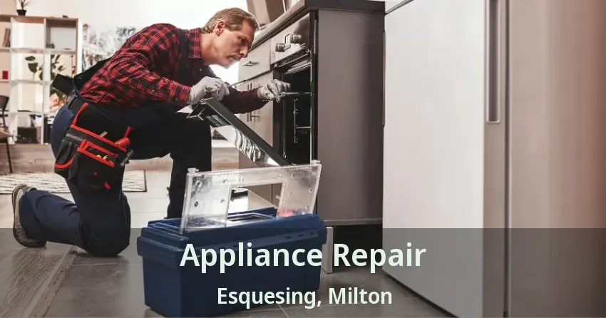 Appliance Repair Esquesing, Milton - ON