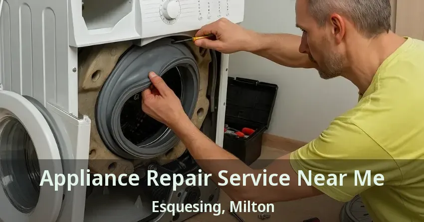 Appliance Repair Service Near Me Esquesing, Milton - ON