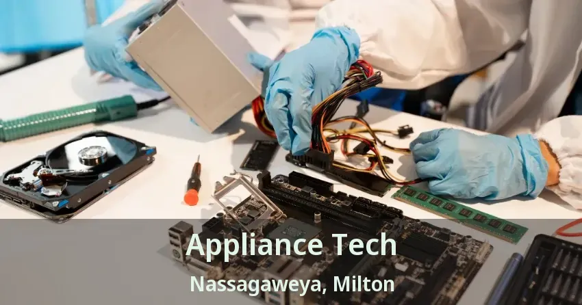 Appliance Tech Nassagaweya, Milton - ON