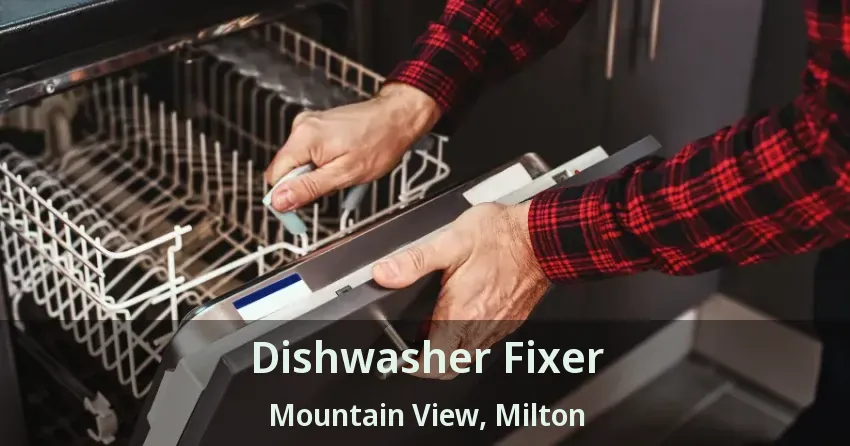 Dishwasher Fixer Mountain View, Milton - ON