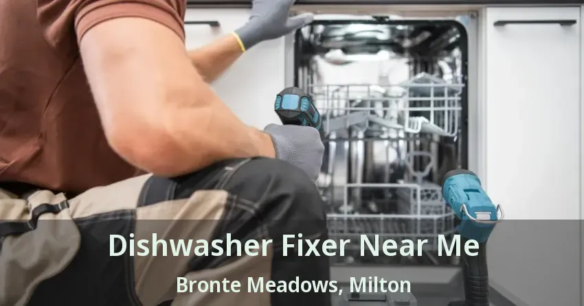 Dishwasher Fixer Near Me Bronte Meadows, Milton - ON