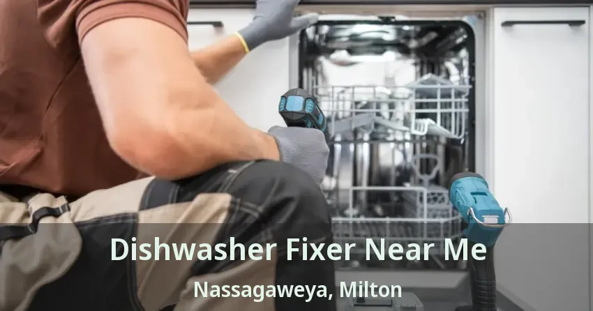 Dishwasher Fixer Near Me Nassagaweya, Milton - ON