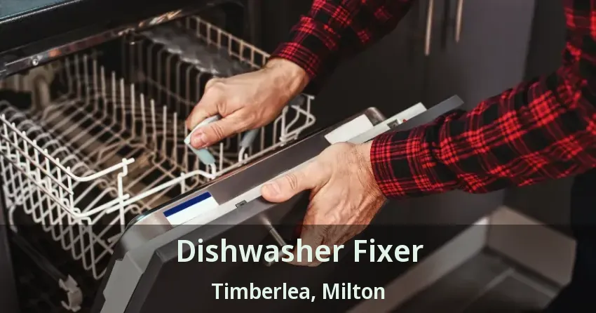 Dishwasher Fixer Timberlea, Milton - ON
