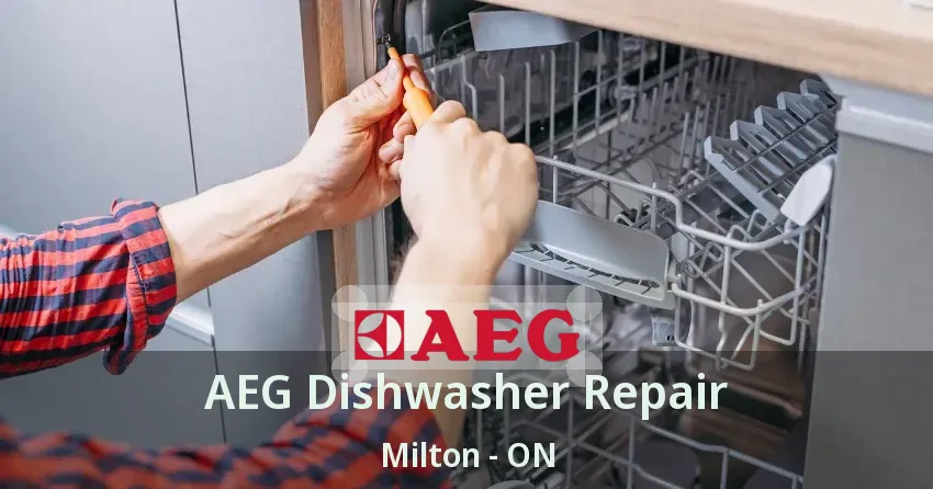AEG Dishwasher Repair Milton - ON