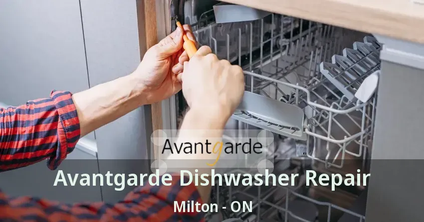 Avantgarde Dishwasher Repair Milton - ON