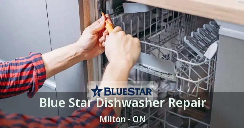 Blue Star Dishwasher Repair Milton - ON