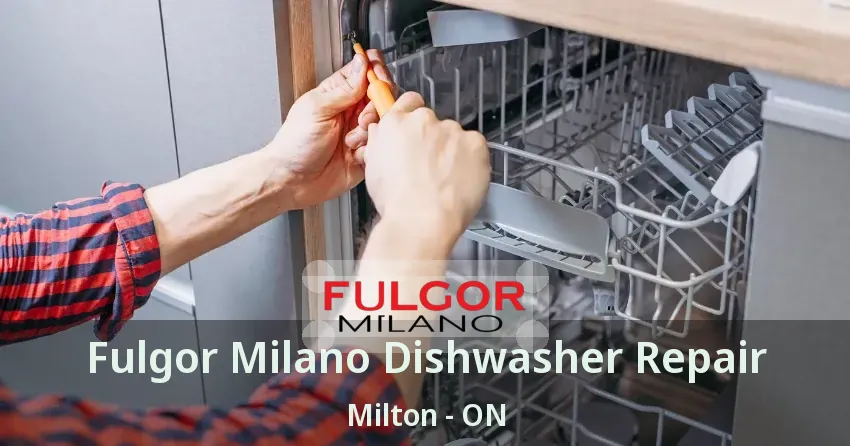 Fulgor Milano Dishwasher Repair Milton - ON