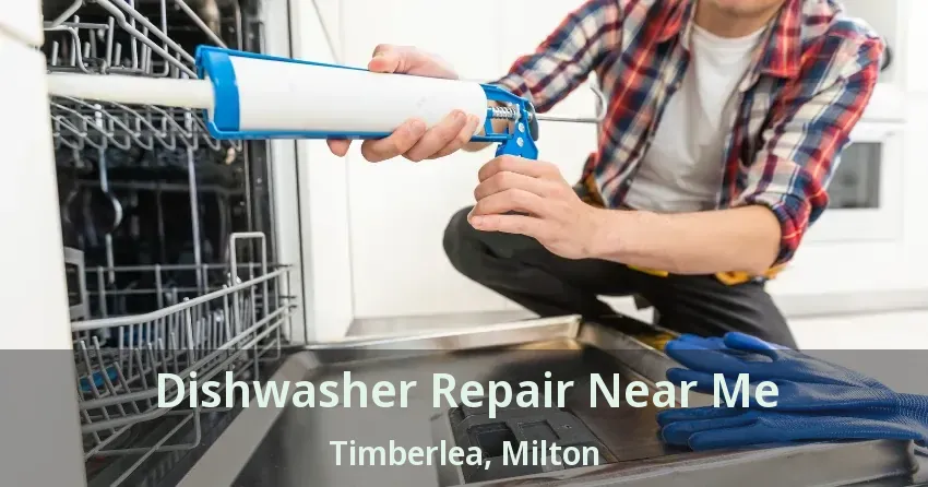 Dishwasher Repair Near Me Timberlea, Milton - ON