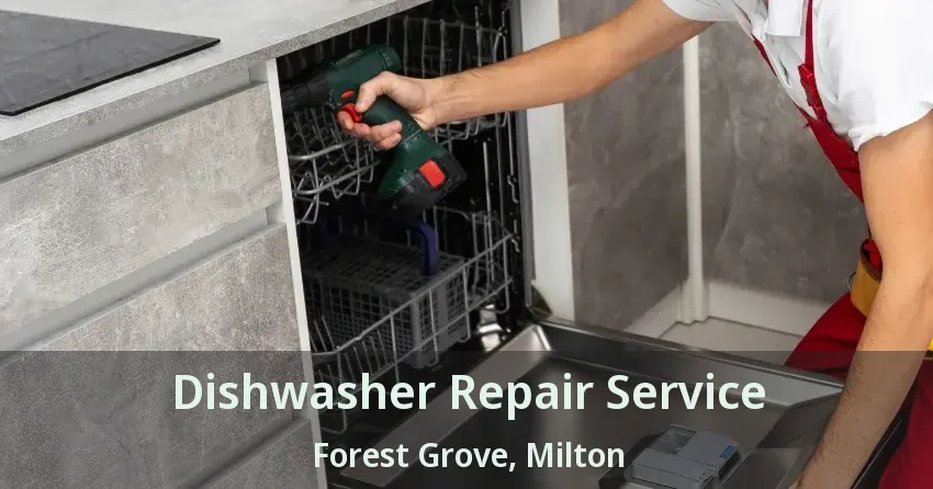 Dishwasher Repair Service Forest Grove, Milton - ON