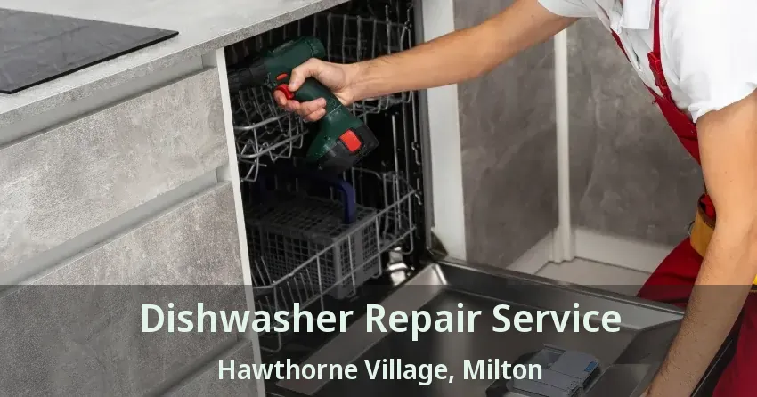 Dishwasher Repair Service Hawthorne Village, Milton - ON