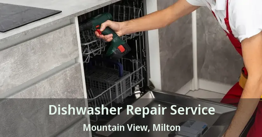 Dishwasher Repair Service Mountain View, Milton - ON
