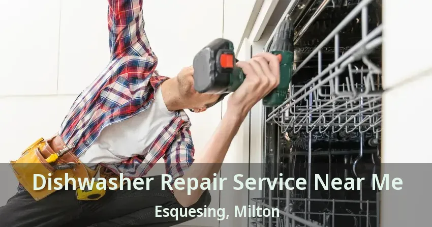 Dishwasher Repair Service Near Me Esquesing, Milton - ON