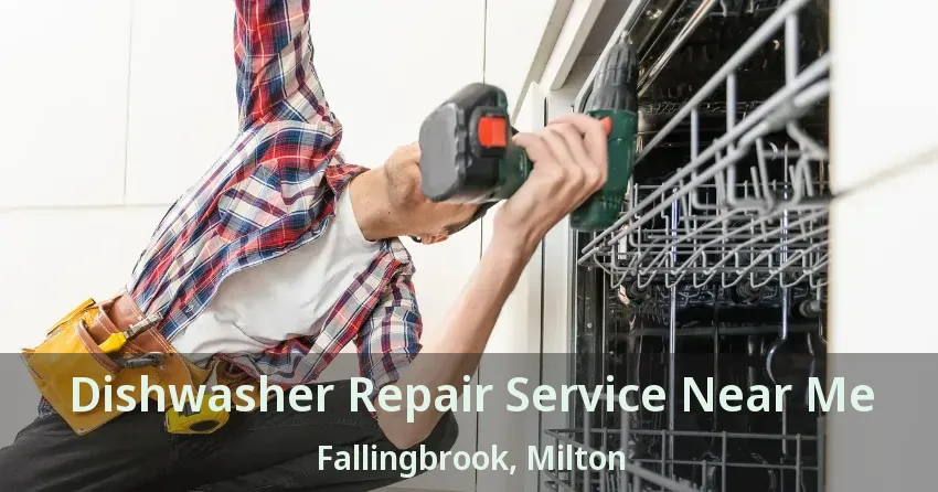 Dishwasher Repair Service Near Me Fallingbrook, Milton - ON