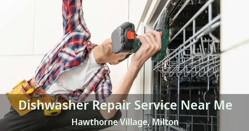 Dishwasher Repair Service Near Me Hawthorne Village, Milton - ON