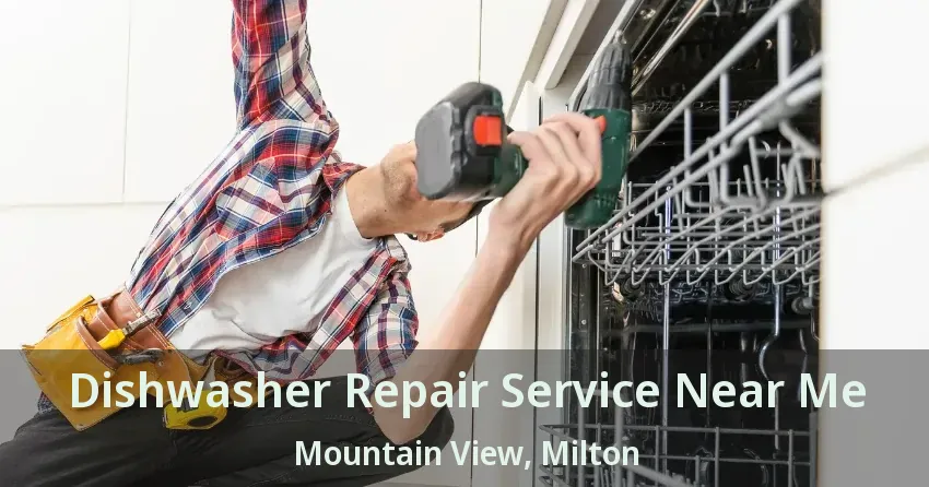 Dishwasher Repair Service Near Me Mountain View, Milton - ON