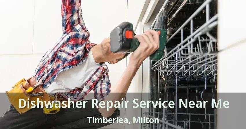 Dishwasher Repair Service Near Me Timberlea, Milton - ON