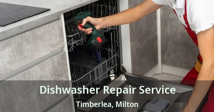 Dishwasher Repair Service Timberlea, Milton - ON