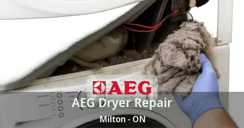 AEG Dryer Repair Milton - ON