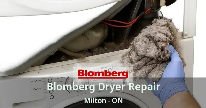 Blomberg Dryer Repair Milton - ON