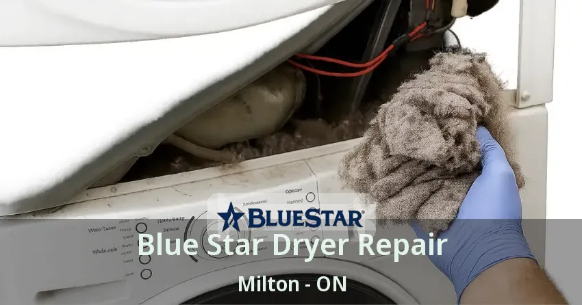 Blue Star Dryer Repair Milton - ON