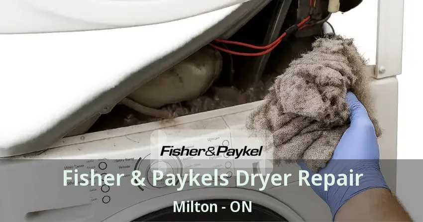 Fisher & Paykels Dryer Repair Milton - ON