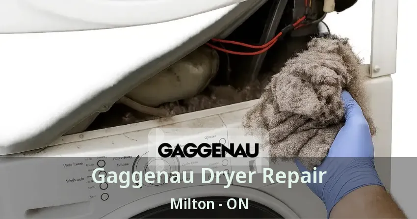 Gaggenau Dryer Repair Milton - ON