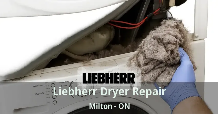 Liebherr Dryer Repair Milton - ON