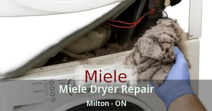 Miele Dryer Repair Milton - ON