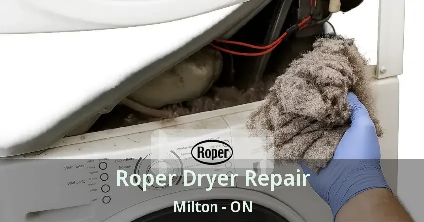 Roper Dryer Repair Milton - ON
