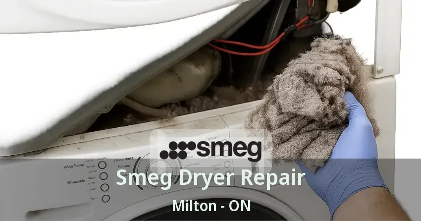Smeg Dryer Repair Milton - ON