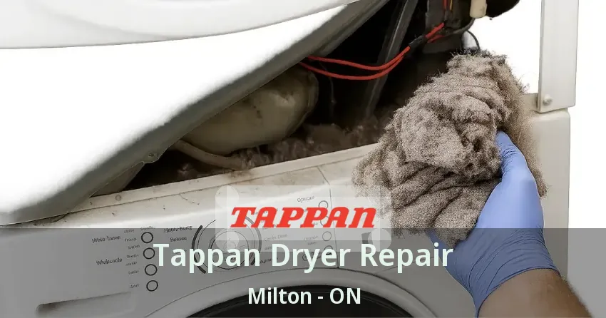 Tappan Dryer Repair Milton - ON