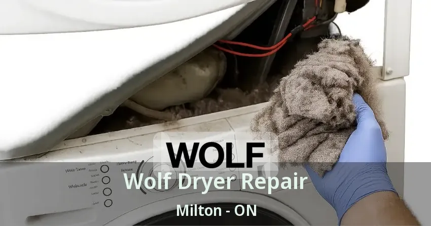 Wolf Dryer Repair Milton - ON