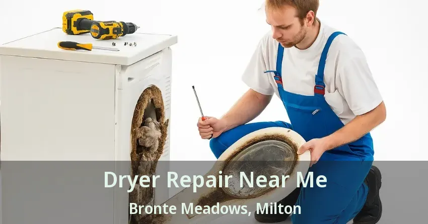 Dryer Repair Near Me Bronte Meadows, Milton - ON