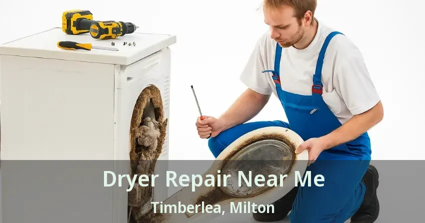 Dryer Repair Near Me Timberlea, Milton - ON