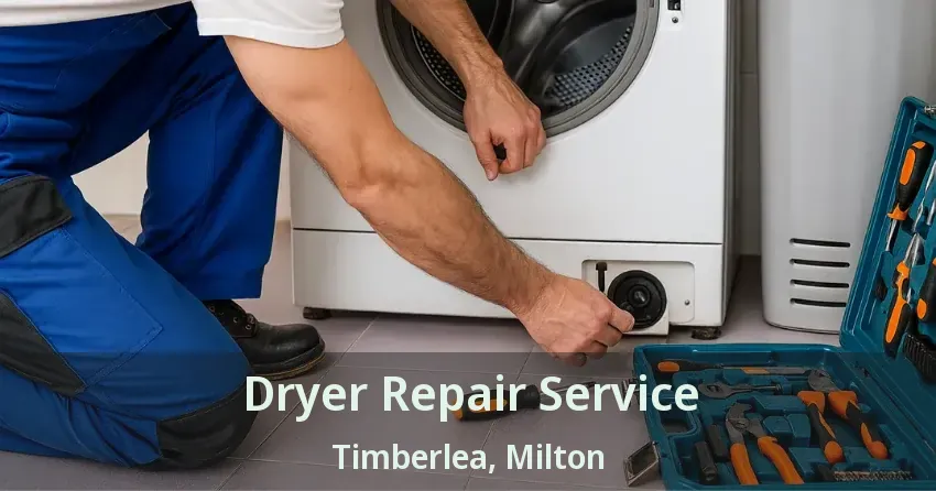 Dryer Repair Service Timberlea, Milton - ON