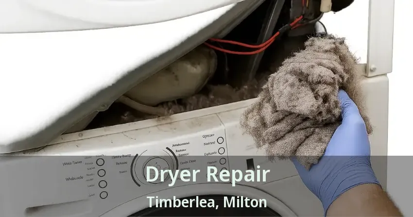 Dryer Repair Timberlea, Milton - ON