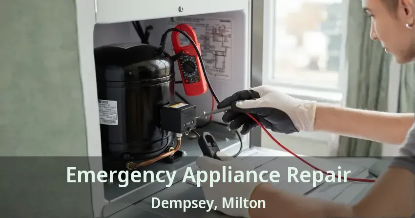 Emergency Appliance Repair Dempsey, Milton - ON
