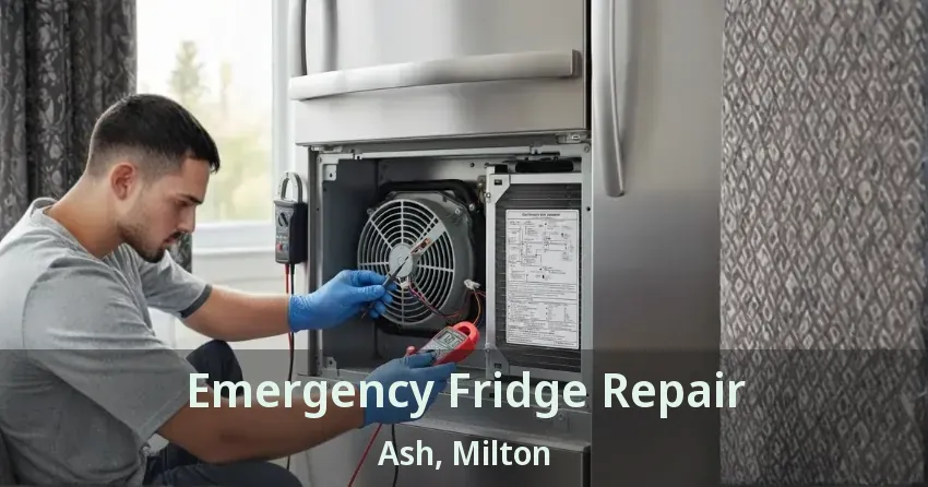 Emergency Fridge Repair Ash, Milton - ON