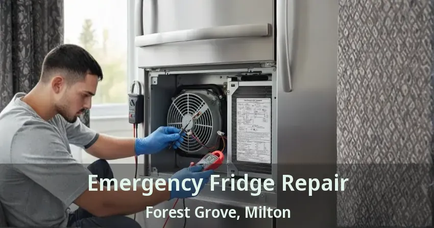 Emergency Fridge Repair Forest Grove, Milton - ON