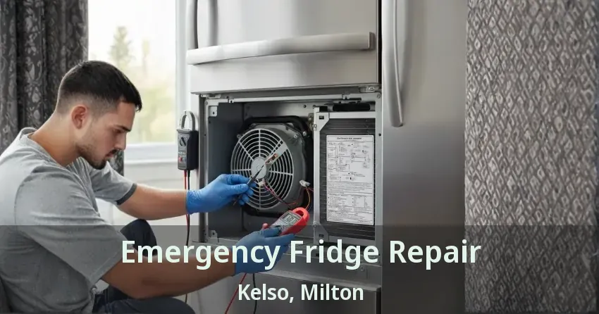 Emergency Fridge Repair Kelso, Milton - ON
