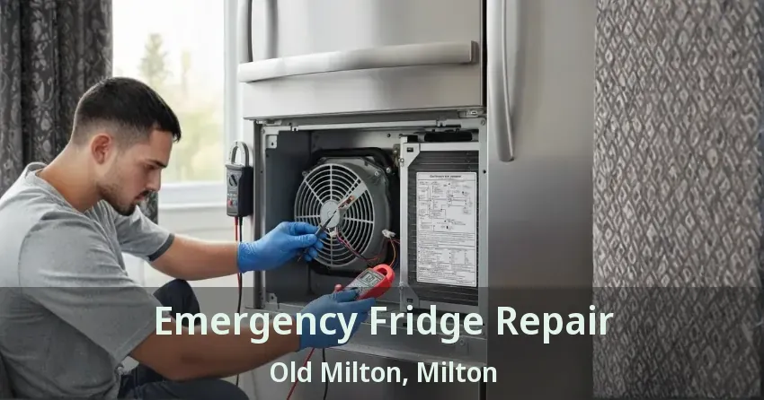 Emergency Fridge Repair Old Milton, Milton - ON