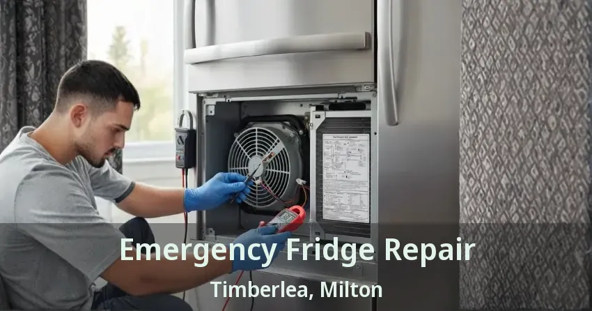 Emergency Fridge Repair Timberlea, Milton - ON