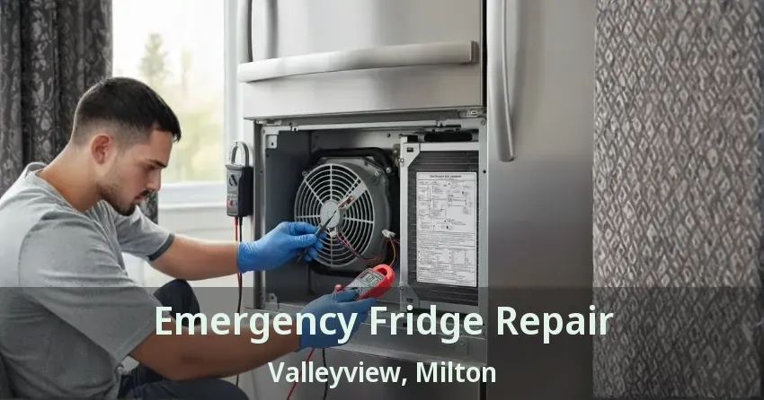 Emergency Fridge Repair Valleyview, Milton - ON