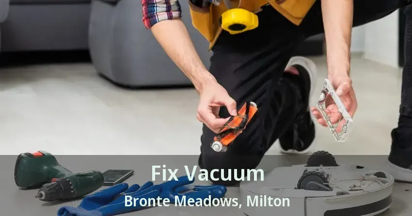 Fix Vacuum Bronte Meadows, Milton - ON