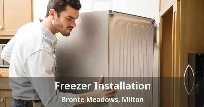 Freezer Installation Bronte Meadows, Milton - ON