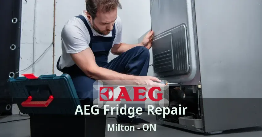 AEG Fridge Repair Milton - ON
