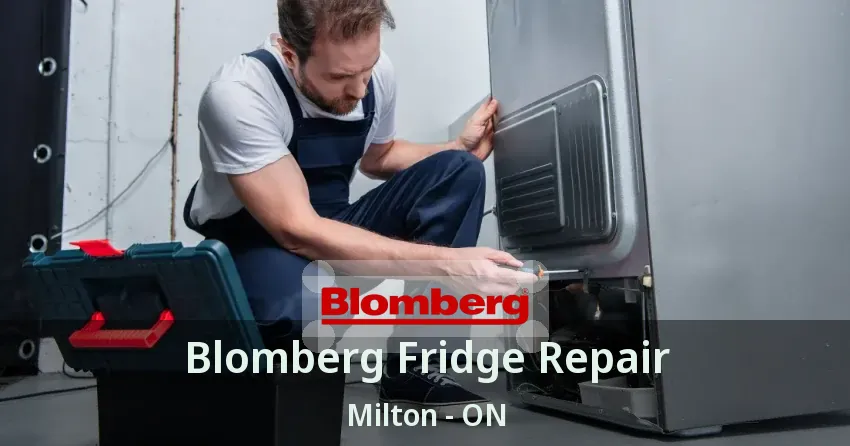 Blomberg Fridge Repair Milton - ON