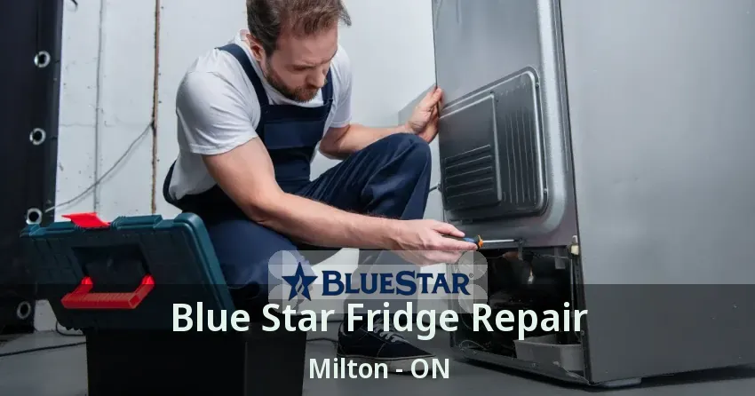 Blue Star Fridge Repair Milton - ON