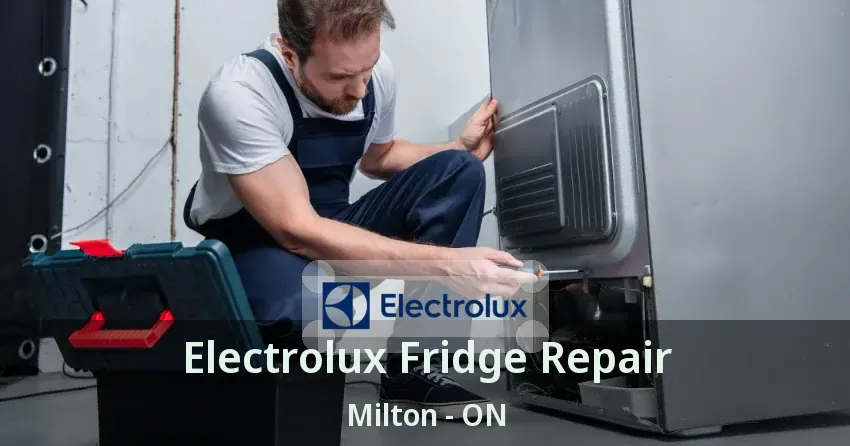 Electrolux Fridge Repair Milton - ON