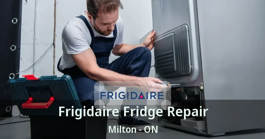 Frigidaire Fridge Repair Milton - ON